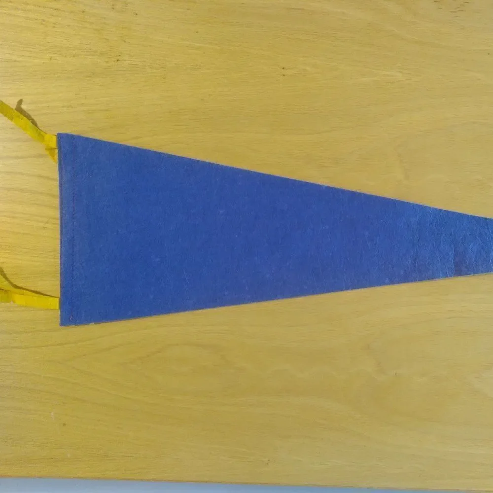 Vintage 60s San Antonio Texas The Alamo Pennant Flag